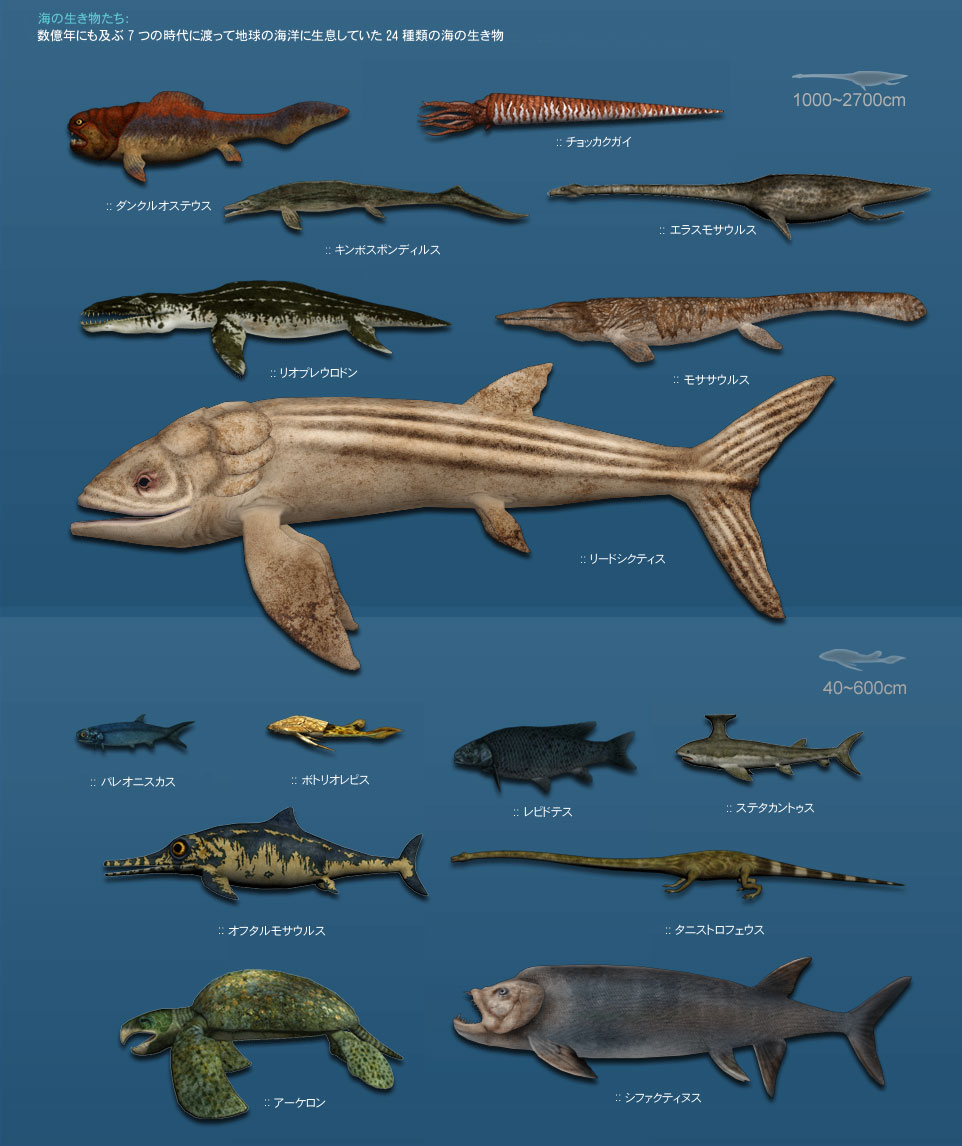 DigiFish AncientOcean()ԡɥ󥿡ʥʥ