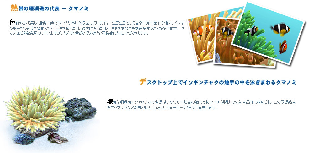 DigiFish Clownfish：(株)ピーアンドエーインターナショナル