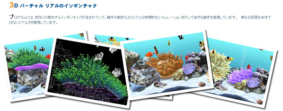 DigiFish Clownfish：(株)ピーアンドエーインターナショナル